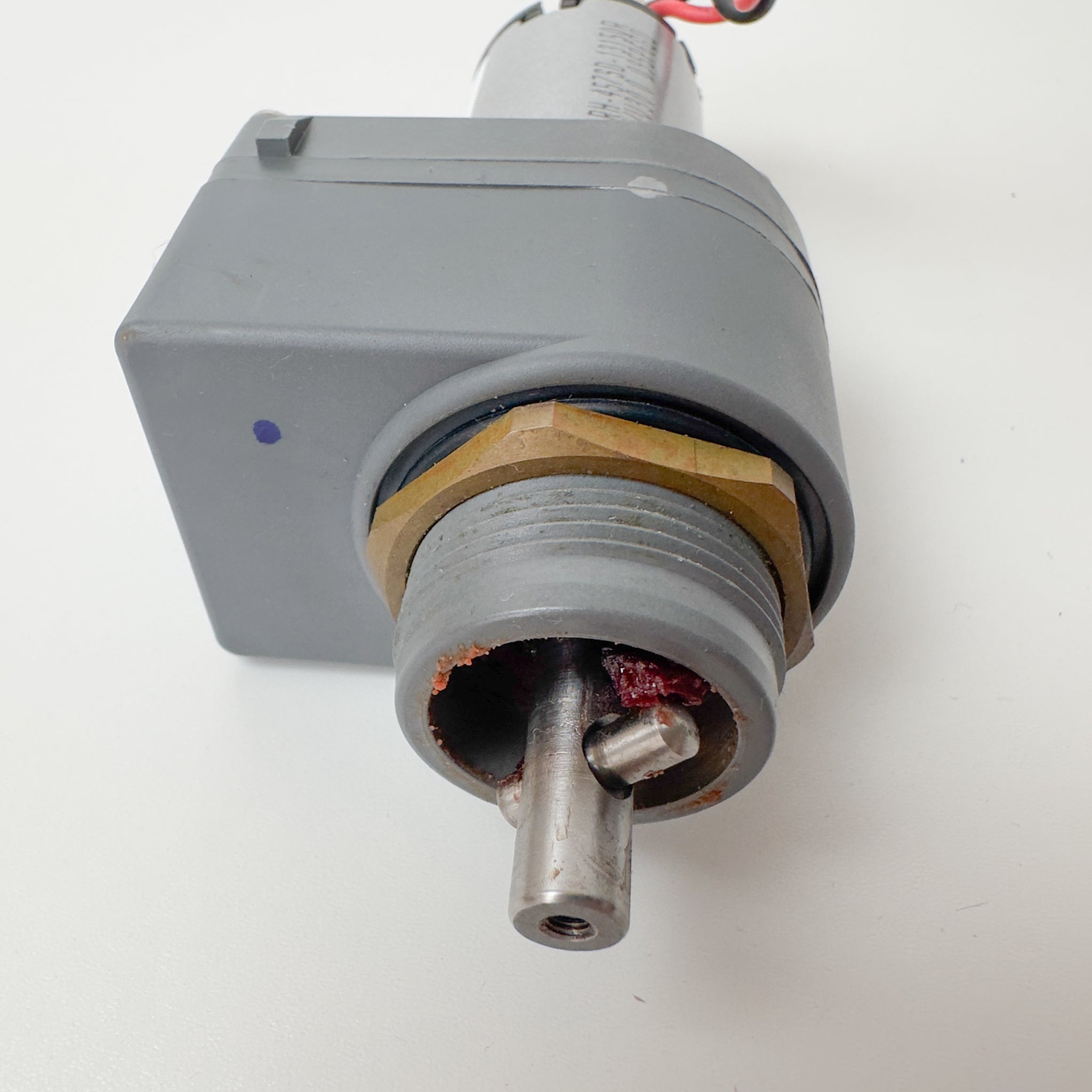 Pair of Zodiac Pool Robot Drive Motors 41JFF3146 - Used (12-Month Warranty)